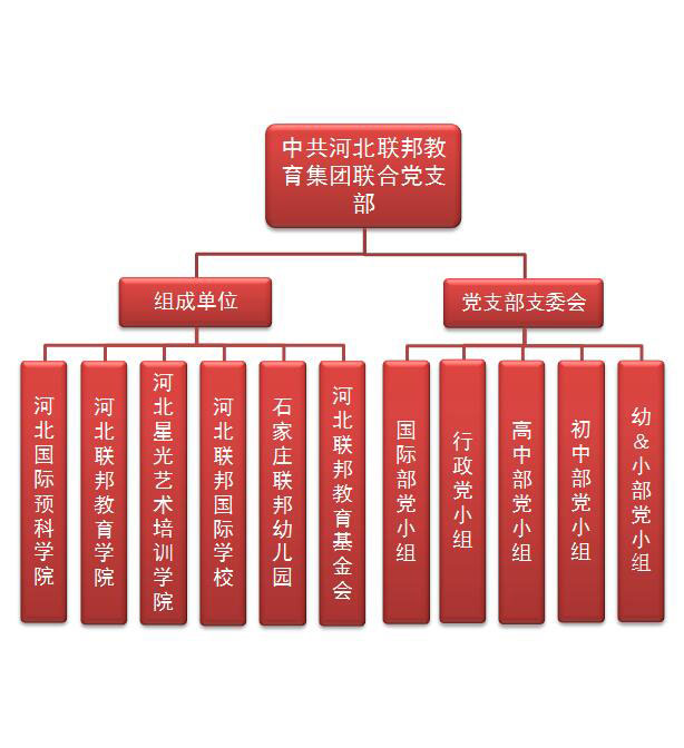 10-23 14:25:20  来源:联邦国际学校         党建引领,铸